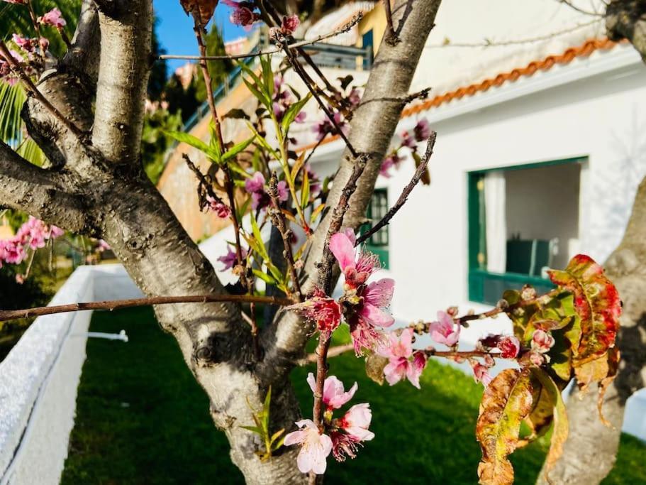 Apartamento Vivienda Vacacional con vistas. El El Sauzal Exterior foto